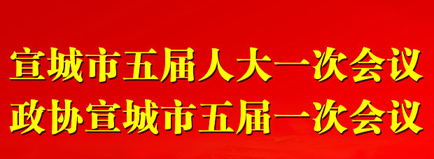 市政協(xié)五屆一次會議隆重開幕